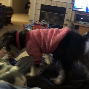 Meet your Posher, Lisa